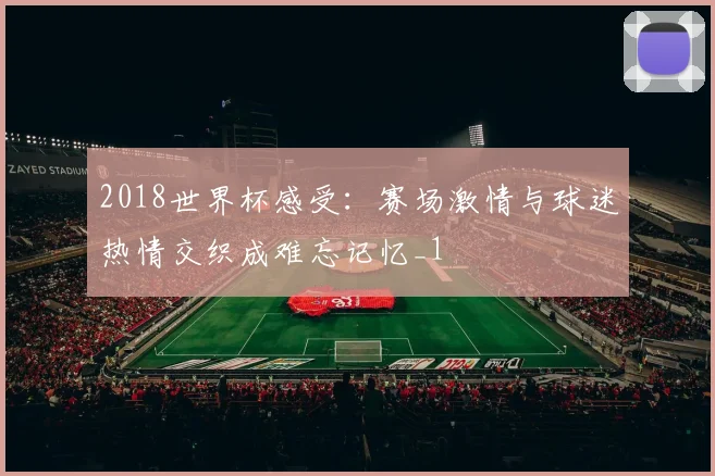 2018世界杯感受：赛场激情与球迷热情交织成难忘记忆_1