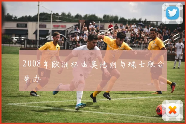 2008年欧洲杯由奥地利与瑞士联合举办