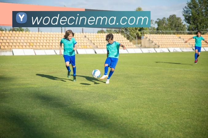 多媒体互动体验