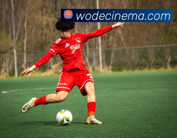 欧帝体育体育官网登录APP 高清赛事图